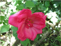 d43faa42-Picture 755.jpg